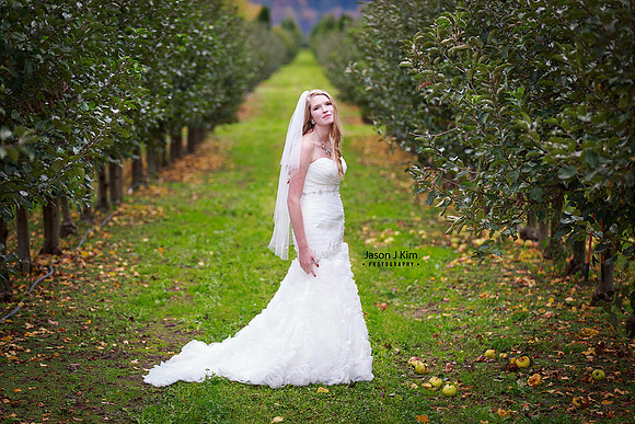 JessBridal--20151025-IMG_3991W