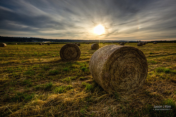 Haystackfield-20110709-IMG_1406_7_8_tonemappedW