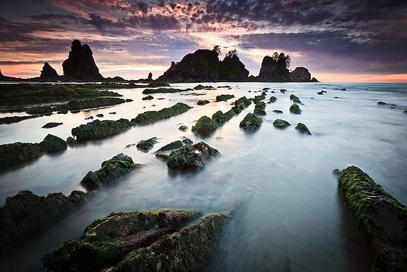 Sunset at Shi Shi Beach