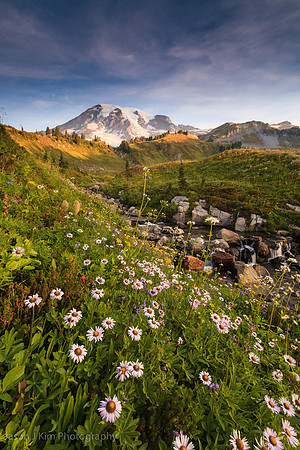 Sunrise at Mt. Rainier